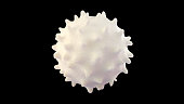 3D illustration of white blood cell