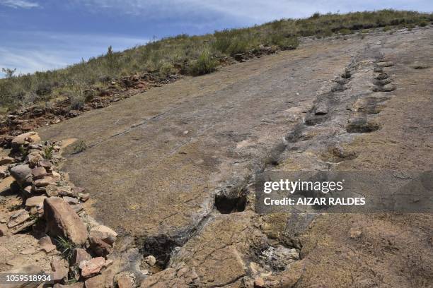 Sauropods, theropods and ankylosaurus footprints from the Cretaceos period are seen at the Toro Toro National Park, where about 3.500 footprints were...