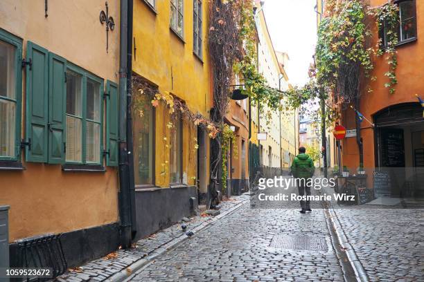 typical paved street in stockholm old town - gamla stan stockholm stock pictures, royalty-free photos & images