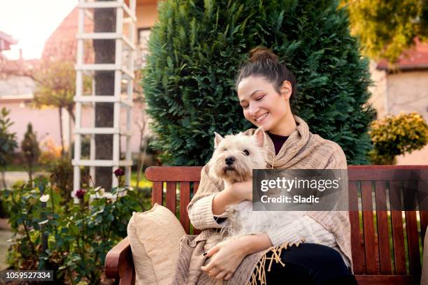cheerful young woman with cute dog - west highland white terrier stock pictures, royalty-free photos & images