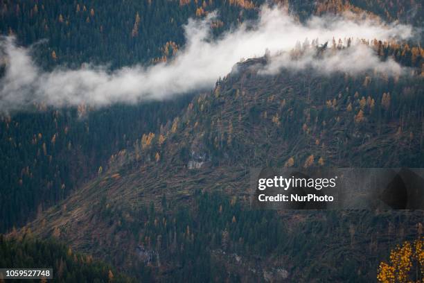 Uprooted trees after extreme winds of up to 190 kilometres per hour ripped through the Dolomites Mountains of Colle Santa Lucia, Belluno Province, in...