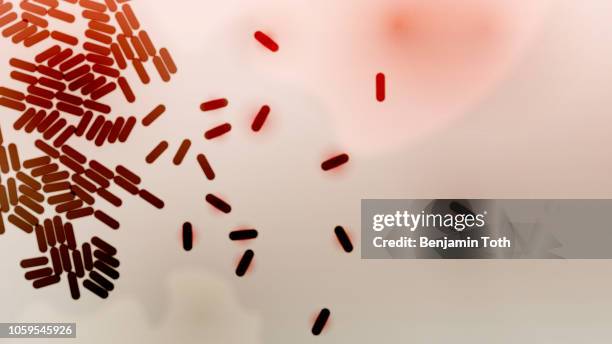 bacteria under microscope - gram positive bacteria stock illustrations
