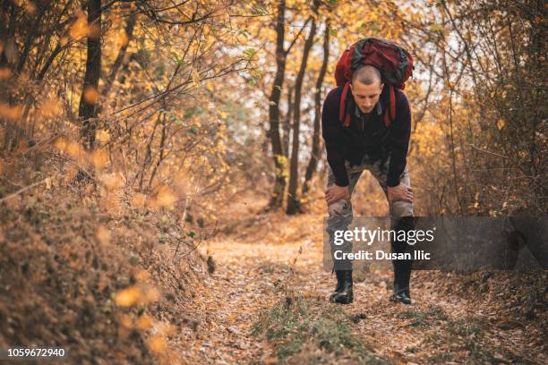 backpacker got tired during hiking in the woods - military rucksack stock pictures, royalty-free photos & images