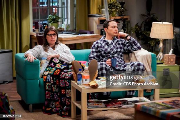 The Citation Negation" - Pictured: Amy Farrah Fowler and Sheldon Cooper . Sheldon and Amy are devastated after learning from a Russian paper that...