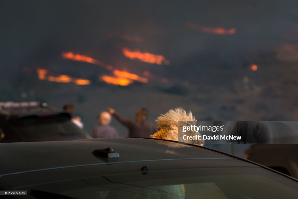 Fast-Spreading Hill and Woolsey Fires Force Evacuations In California's Ventura County