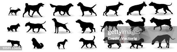 stockillustraties, clipart, cartoons en iconen met hond silhouet rassen set - dog breeds