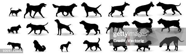 dog breeds silhouette set - pure bred dog stock illustrations