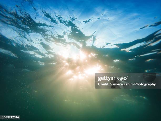 Underwater Sun Rays Photos and Premium High Res Pictures - Getty Images