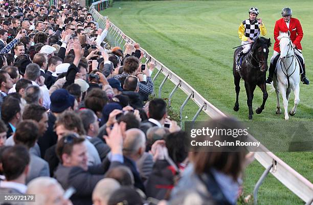 Jockey Steven Arnold riding So You Think returns to scale after winning Race Eight the Tatts Cox Plate during Cox Plate Day at Moonee Valley...