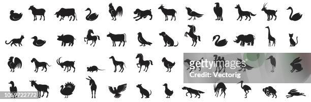 animal icon silhouette - animal wildlife stock illustrations