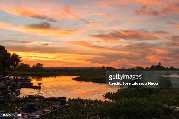 sunset at pantanal, ms - pantanal wetlands foto e immagini stock