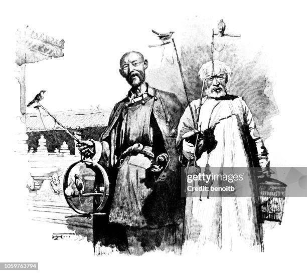 men with trained birds in beijing - beijing stock illustrations