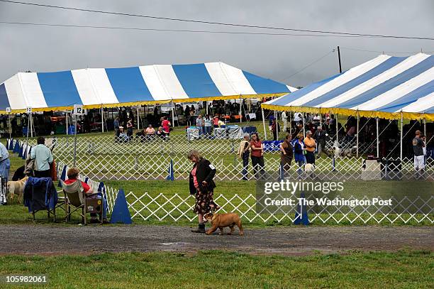 The AKC which has championed purebred dogs for 125 years, has recently begun allowing mutts to compete in its agility and obedience competitions. We...