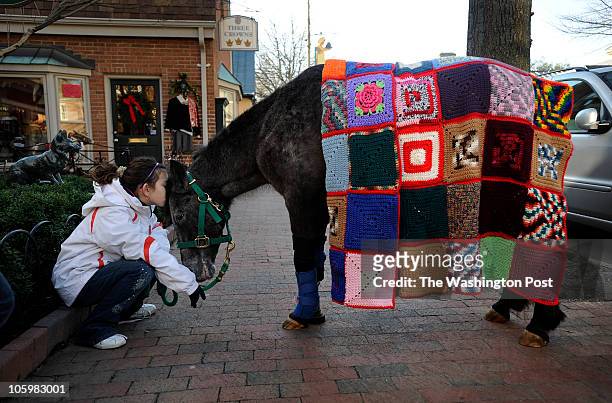 Erica Gudino, 9 years old, cuddles Molly the Pony as she assists during the event as she wears a quilt made by ÒBlanketed with LoveÓ Program for dogs...