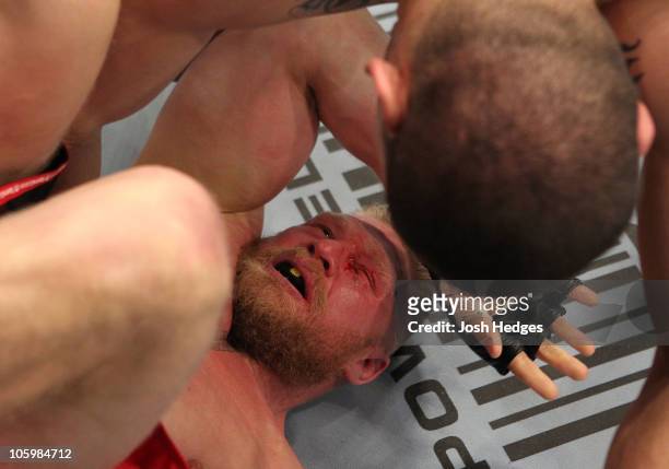 Cain Velasquez continues to punch as Brock Lesnar is on the ground in the fiirst round during the heavyweight title bout during UFC 121 on October...