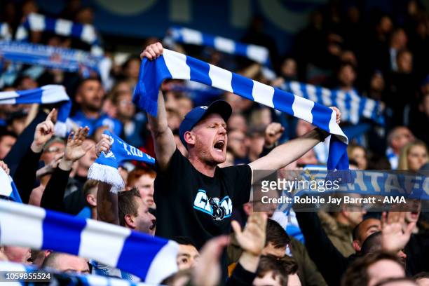 Fan of Huddersfield Town during the Premier League match between Huddersfield Town and West Ham United at John Smith's Stadium on November 10, 2018...