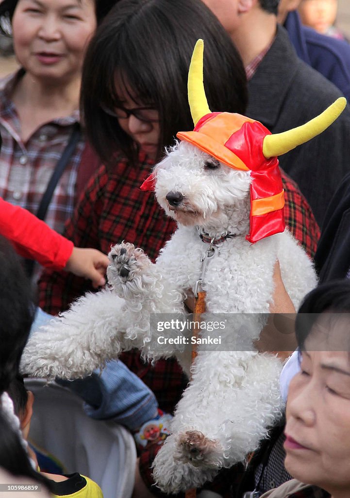 Yuru Chara Festival Takes Place