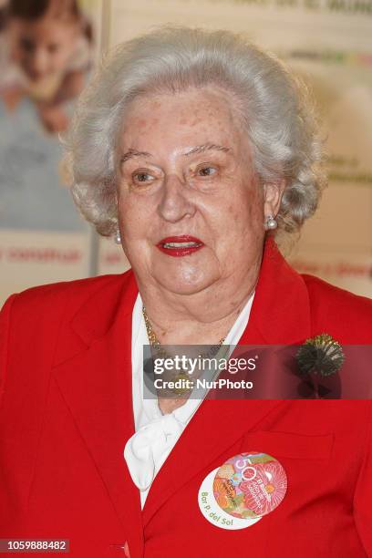 Princess Pilar de Borbon during the inauguration of El Rastrillo de Nuevo Futuro in the Cristal pavilion of the madrid country house. Spain. November...