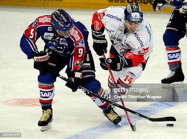 Nathan Robinson of Mannheim battles for the puck with Stefan Ustorf of Berlin during the DEL Bundesliga match between Adler Mannheim and Eisbaeren...