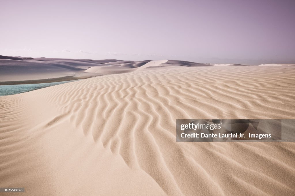 Sand dunes 