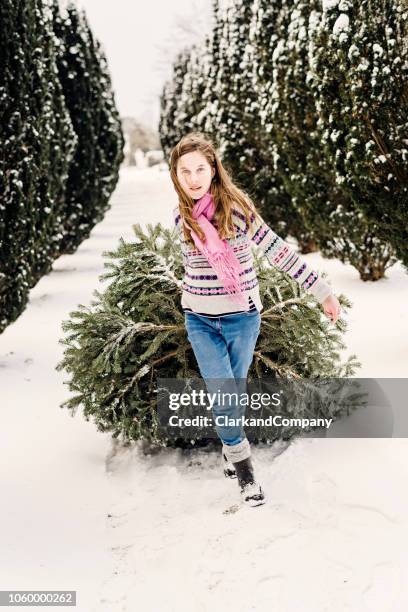 teenage girl pulling her christmas tree home. - drag christmas tree stock pictures, royalty-free photos & images