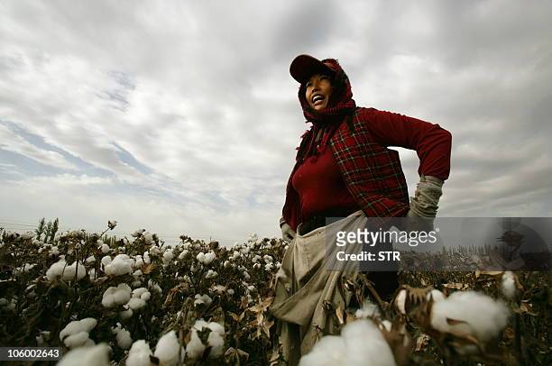 This photo taken on October 23, 2010 shows a cotton worker during the harvest season in Hami, in northwest China's Xinjiang region. China is the...