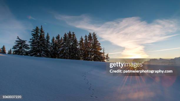 winter mountain scene with fresh snow and alps mountain range in background in switzerland - berner alpen stock-fotos und bilder