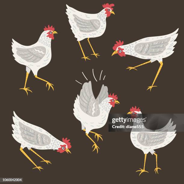 stockillustraties, clipart, cartoons en iconen met domme cartoon kippen - chicken drawing