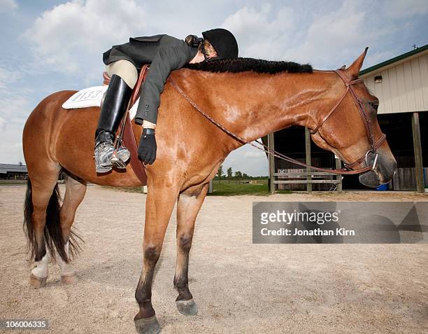twelve year old rider sleeps on her horse.   - animal riding stockfoto's en -beelden