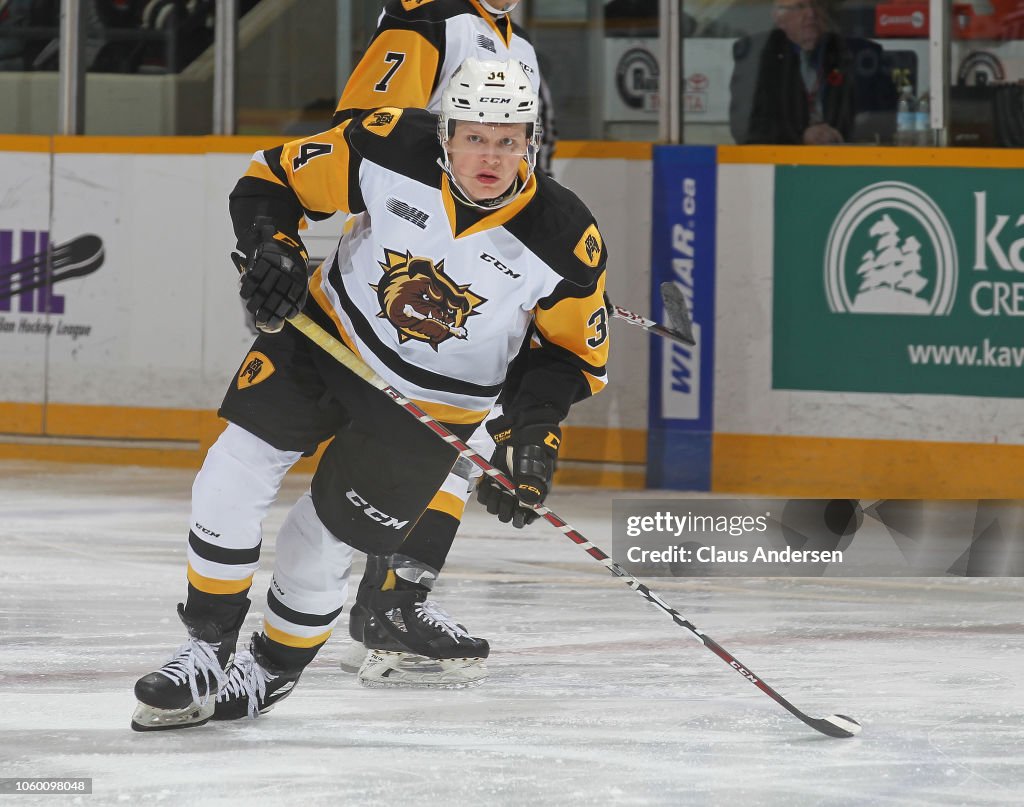 Hamilton Bulldogs v Peterborough Petes