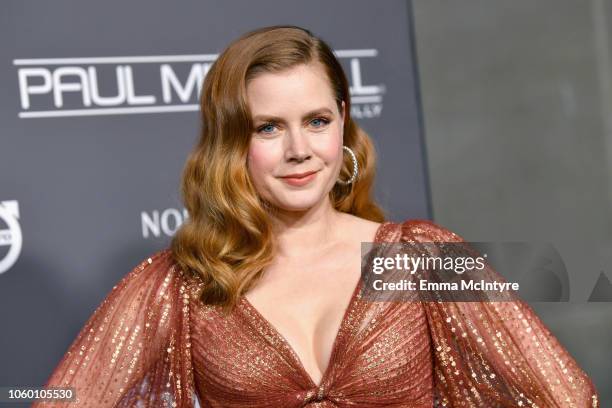Honoree Amy Adams attends the 2018 Baby2Baby Gala Presented by Paul Mitchell at 3LABS on November 10, 2018 in Culver City, California.