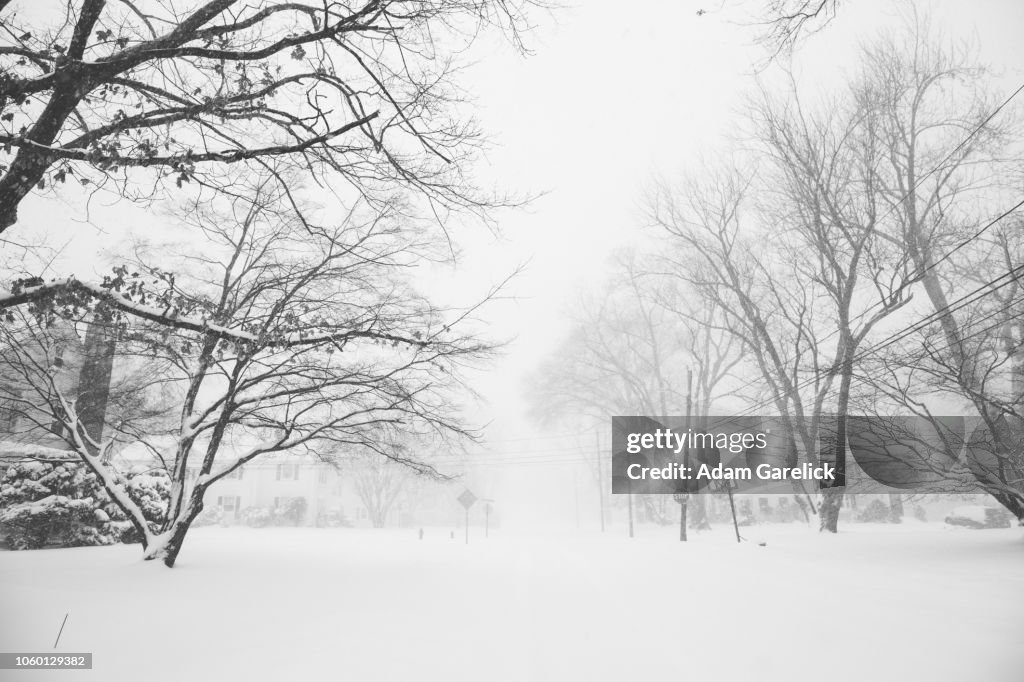 Snow in West Hartford, Connecticut III