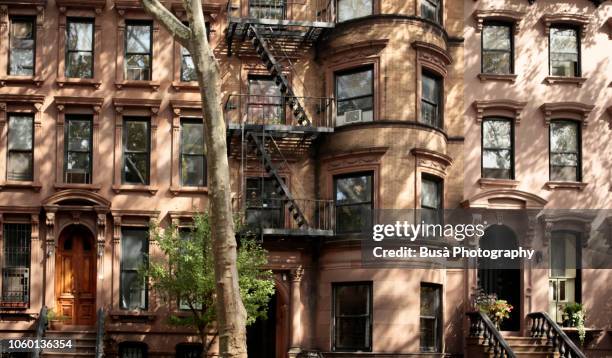 pre-war brownstones in fort greene, brooklyn, new york city - fort greene photos et images de collection