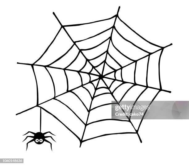 stockillustraties, clipart, cartoons en iconen met spinnenweb en spider - spinnenweb