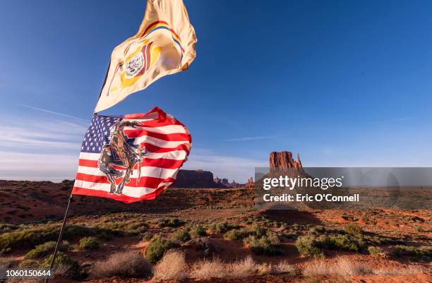 navajo nation flag, and modified american flag with "end of the trail" which is all public domain. - reserva navajo - fotografias e filmes do acervo