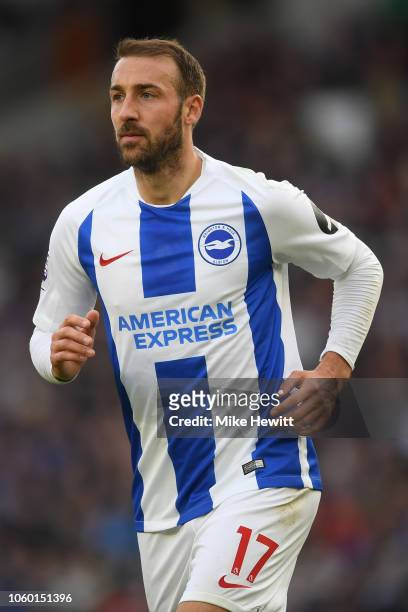 Glenn Murray of Brighton & Hove Albion in action during the Premier League match between Brighton & Hove Albion and Wolverhampton Wanderers at...