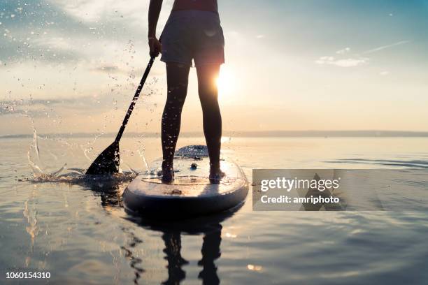 zomer zonsondergang lake paddleboarding detail - woman surfboard stockfoto's en -beelden