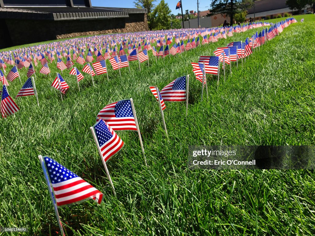 9/11 memorial flags in park on september 11