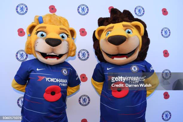 1,624 Chelsea Lion Photos and Premium High Res Pictures - Getty Images