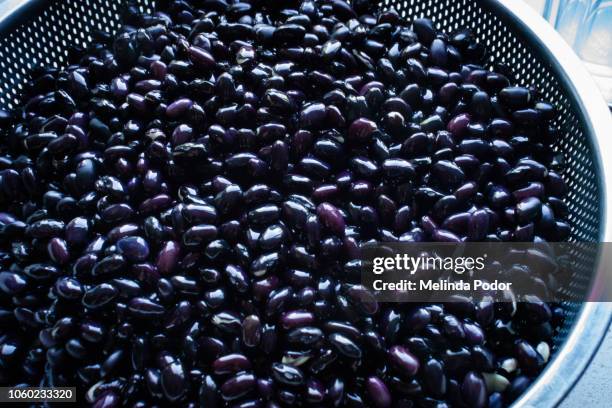 a large batch of soaked dry black beans in a colander,  ready for cooking - black beans stock pictures, royalty-free photos & images