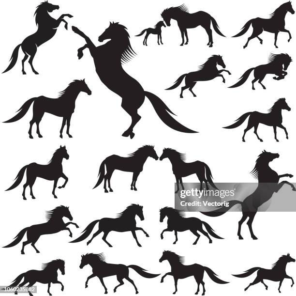 ilustrações de stock, clip art, desenhos animados e ícones de horse silhouette - horse rearing up