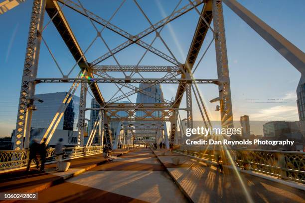 nashville - nashville park stock pictures, royalty-free photos & images