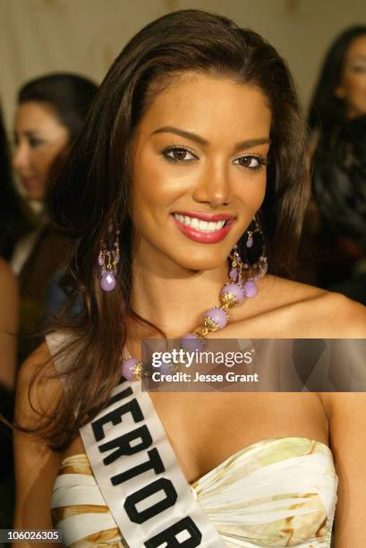 Zuleyka Rivera of Puerto Rico during Miss Universe 2006 Breakfast with the 18 Hispanic Candidates at Wilshire Grand Hotel in Los Angeles, California,...