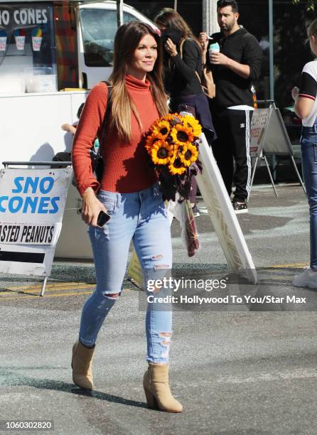 Danielle Vasinova is seen on November 11, 2018 in Los Angeles, CA.