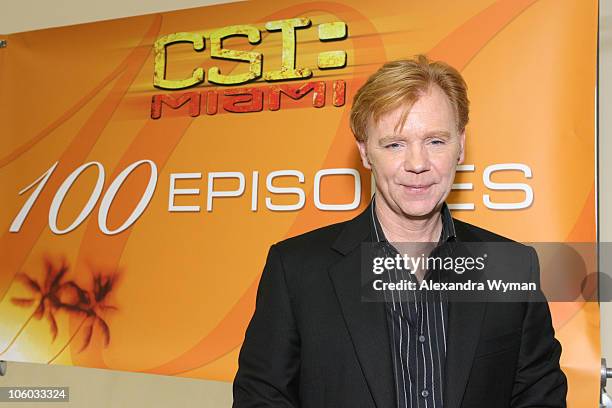 David Caruso during CSI Miami 100th Episode Celebration at Raleigh Studios in Manhattan Beach, California, United States.