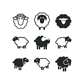 Sheep  icon template