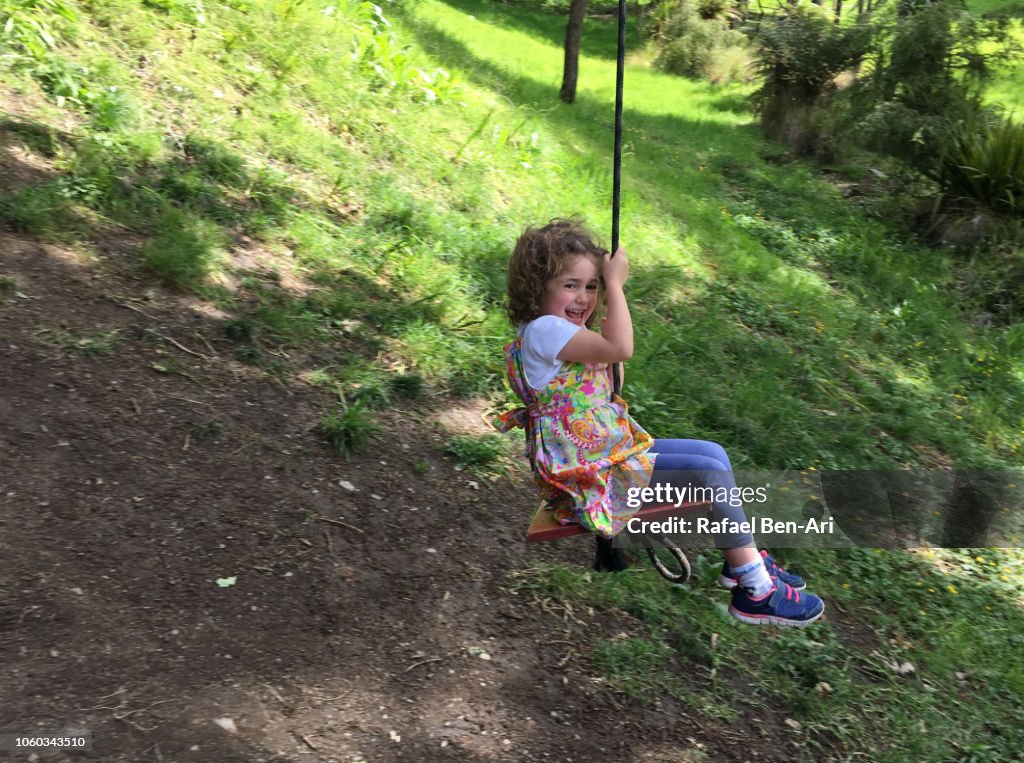 Small Girl Swinging on a Tree Swing