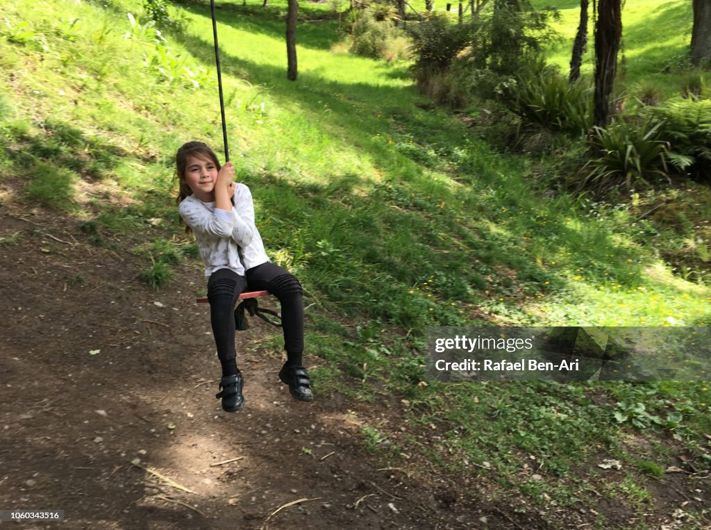 Young Girl Swinging on a Tree Swing