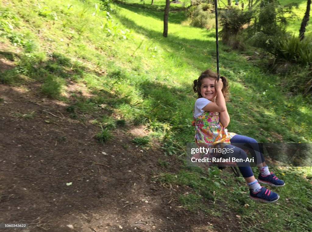 Small Girl Swinging on a Tree Swing