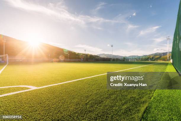 sunny football field at sunset - football background foto e immagini stock